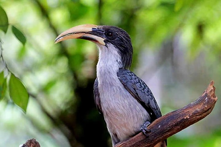 Forest waterfall Wellness Zone & Yoga Meditation,waterfall Bath. - Photo 1 of 13